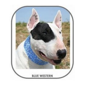   Aqua Coolkeeper Cooling collar - hűtőnyakörv (kék) kutyák részére (4XL) 70-85cm/10cm