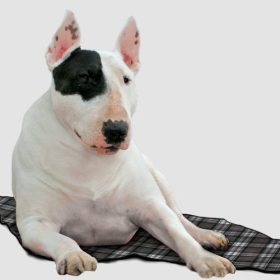   Aqua Coolkeeper cooling Mat - hűtőpléd (skótkockás) XXL (100x90cm)