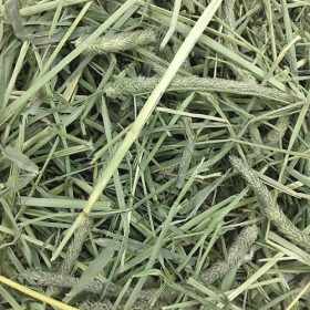   Aqua-food Rodi gyógynövényes széna (5 liter) rágcsálók részére (10db/#)