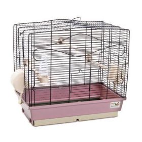   Comfy Orchidea - kalitka díszmadarak részére (51,5x61,5x40cm)