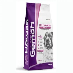 Gemon Dog 20kg Adult All Breeds sertés-rizs (24/12)