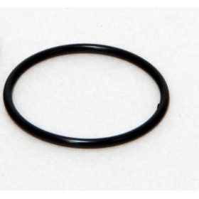 JBL CP e1500/1 Dichtung für Rotorabdecku