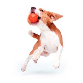   LIKER 7 Line - játék (narancssárga) kutyák részére (7cm)