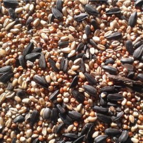 Trópus Téli Vadmadár magkeverék (10 kg)