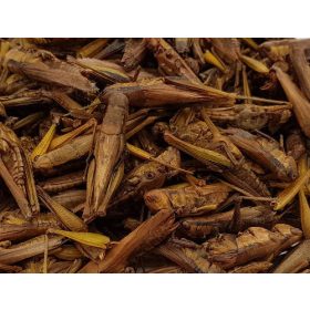   Trópus Dried Grasshopper - kiegészítő eleség (szárított szöcske) rágcsálók,madarak, sünik és hüllők részére (40g)