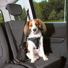   Trixie Car Harness Comfort - biztonsági hám autóba -fekete - (S-M) kutyák részére (40-55cm/17mm)