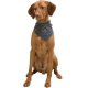 KT24: Trixie Be Nordic neckerchief - kendős nyakörv (sötétszürke, mintával) kutyák részére (M) 40cm