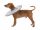 Trixie Protective Collar - védő gallér (szürke) L (46-49cm/24cm)