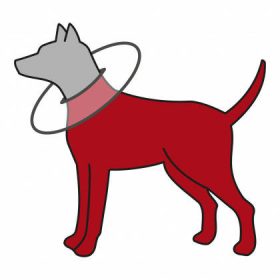   Trixie Protective Collar - védő gallér (szürke) XL (60-64cm/29cm)