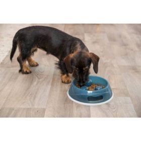   Trixie Slow Feeding Plastic Bowl - evéslassító tál (többféle színben) kutyák részére (1,5l/27cm)