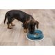 Trixie Slow Feeding Plastic Bowl - evéslassító tál (többféle színben) kutyák részére (1,5l/27cm)