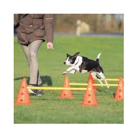   Trixie Sporting Obstacle Set - agility akadály (ugró akadály) kutyák részére (23cm x 30/78cm)