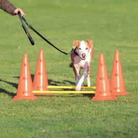   Trixie Sporting Obstacle Set - agility akadály (ugró akadály) kutyák részére (30cm x 50/100cm)
