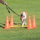 Trixie Sporting Obstacle Set - agility akadály (ugró akadály) kutyák részére (30cm x 50/100cm)