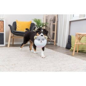   KT24:Trixie Junior Bear Toy - plüss játék (medve) kutyák részére (20cm)