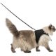 Trixie Soft Harness XXL with Lead - hám és póráz szett (fekete) nagytestű macskák részére (36-54cm/1.2m)