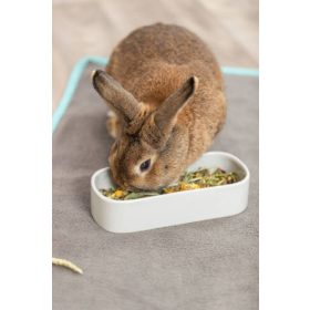   Trixie Ceramic Bowl - kerámia tál (ovális)macskák részére (600ml /22x10cm)