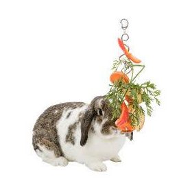   Trixie Fruit Holder - gyümölcs tartó (krómozott fém) 25cm