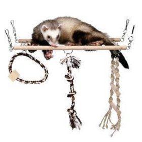 Trixie 6905 görény szett (híd), 35 × 15 cm