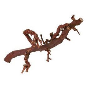 Trixie 76169 szölőinda'2', M: 30–40 cm