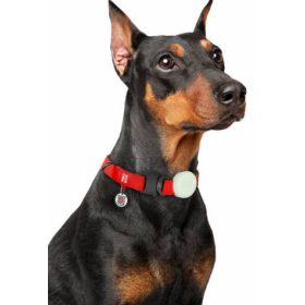 WAUDOG Silicone Airtag világitó biléta 15-40mm