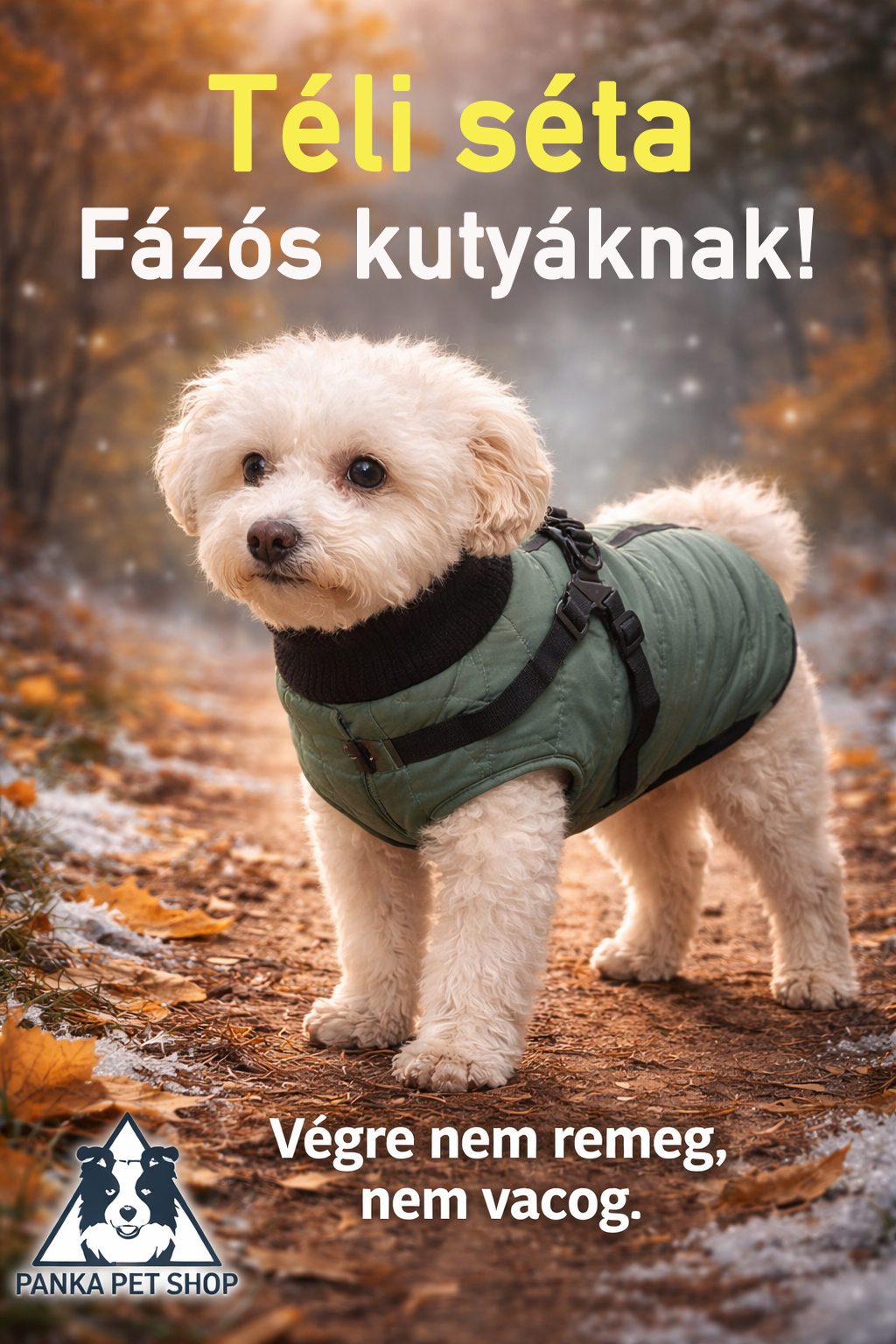 Kutyaruha - Nem csak divat. Szükséglet